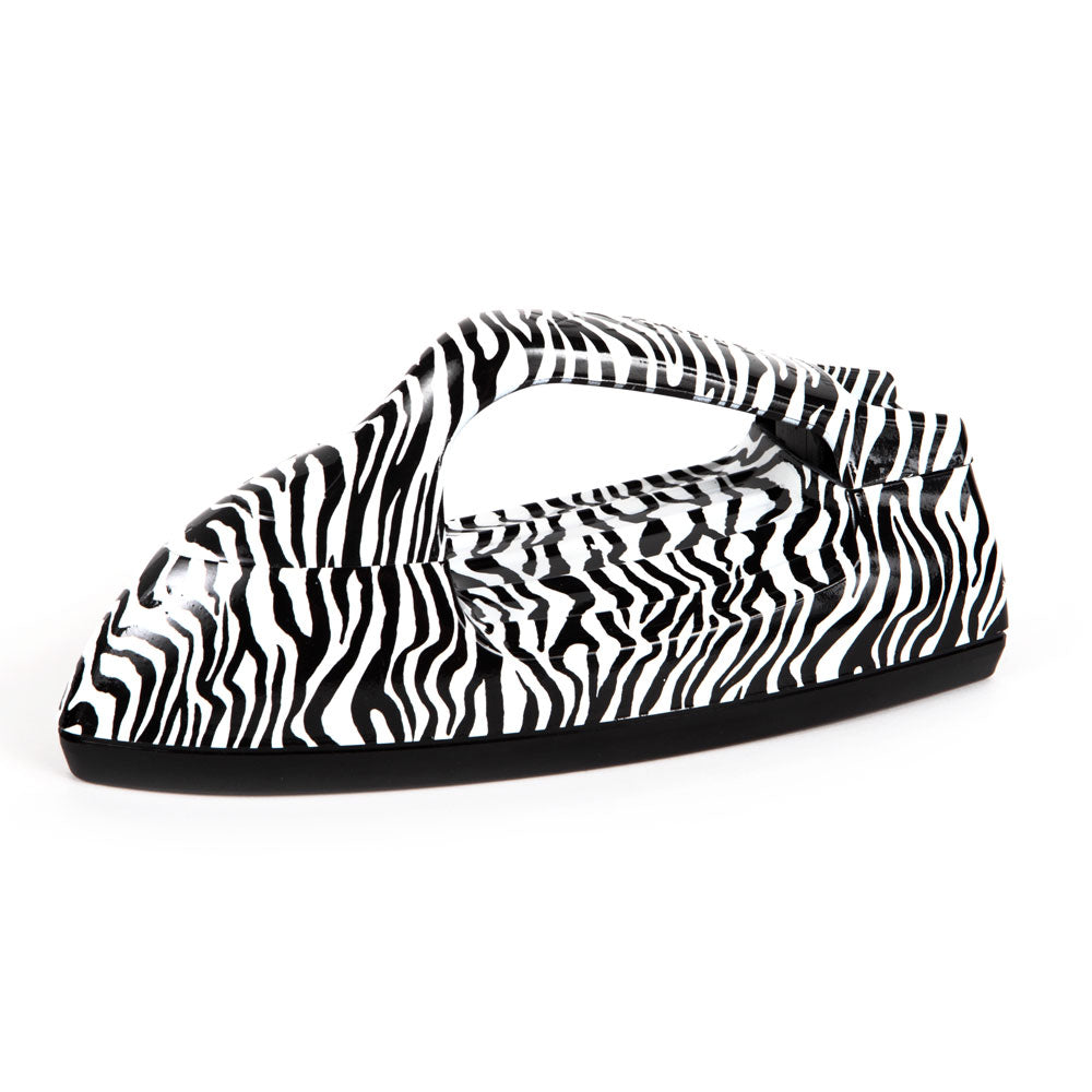 Xsteam - Zebra